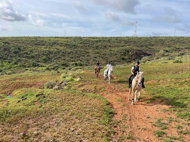 1 hour relaxing horse riding tour in Gran Canaria - The Scenic Highlights