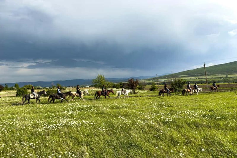 2-hour horse riding tour at Palomino Ranch - Introduction to the Ride