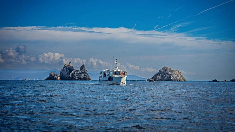 2 Islands Cruise: Porquerolles & Port-Cros with stops - The Experience and Practical Details