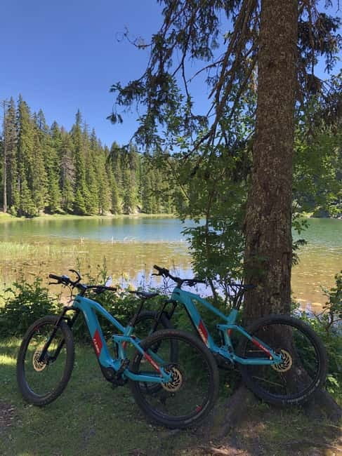 2 Viewpoints E-bike tour - The Experience and Why It Works