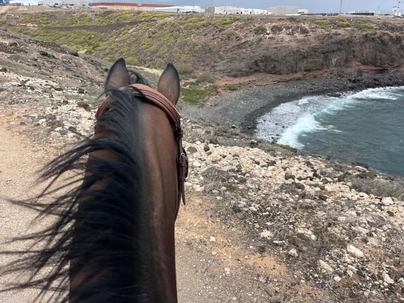 3 hours Horse Riding Tour to the Coast - Why This Tour Offers Real Value