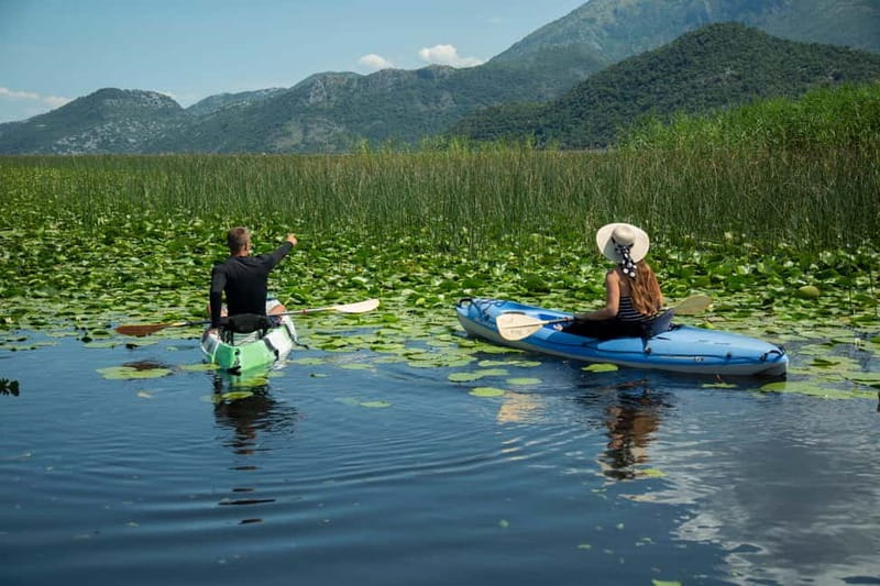 3h Guided Kayaking Adventure on Skadar Lake to hidden spots! - A Detailed Look at the Kayaking Tour