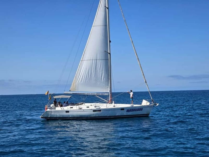 3h Whale Watching Private tour Beneteau Oceanis 440 - What to Expect from This Whale Watching Experience