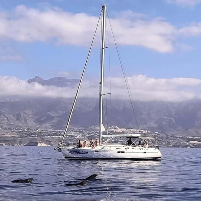 3h Whale Watching Share Tour Beneteau Oceanis 440 - What’s Included and What’s Not