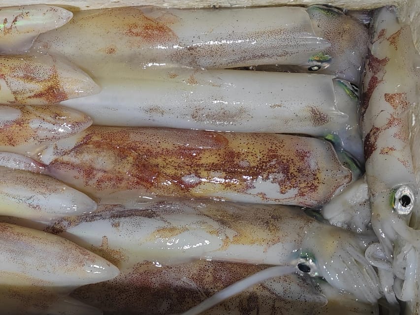 4-hour FISHING DAY by BOAT departing from Hondarribia - A Closer Look at the Hondarribia Fishing Experience