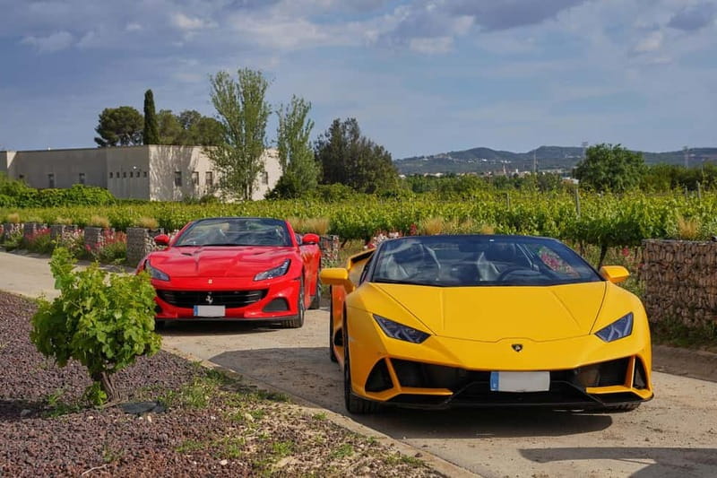 4-Hour Supercar Route to a Catalan Winery from Barcelona - The Vehicles: A Selection of Top-Tier Supercars