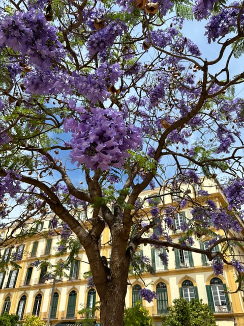 45 minutes flamenco dance class for family in Málaga - What Travelers Say
