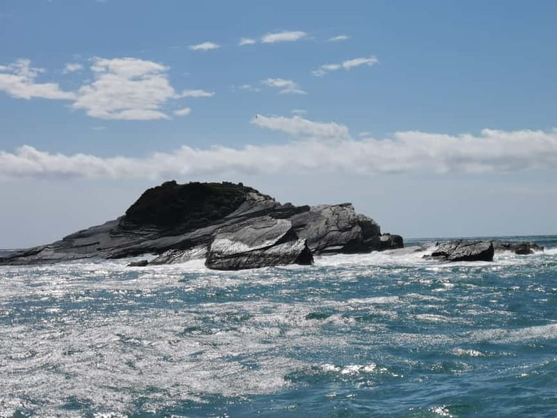 5 TERRE PRIVATE BOAT TOUR WITH SKIPPER - What to Expect on the Day