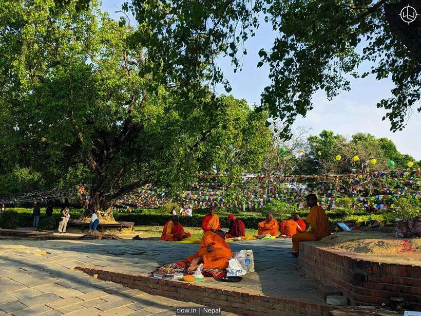 7-Day Buddhist Meditation Retreat in Lumbini - Sacred Site Exploration