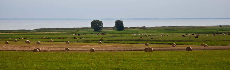 7-lake tour: nature & enjoyment on Usedom - Why You Should Consider the 7-Lake Tour
