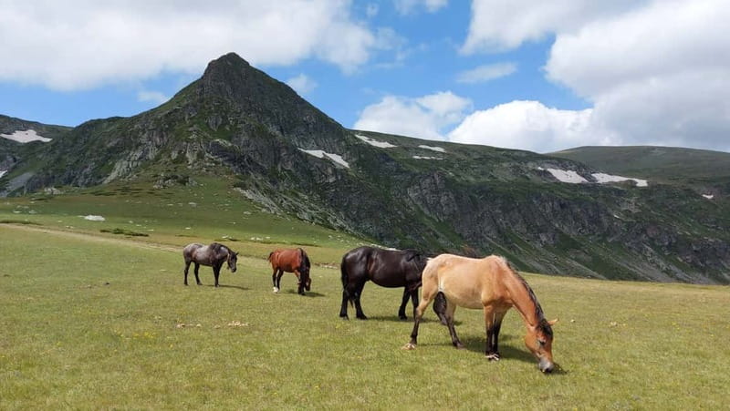 7 Rila lakes and Rila monastery day tour from Sofia - The 7 Rila Lakes: Nature’s Masterpiece