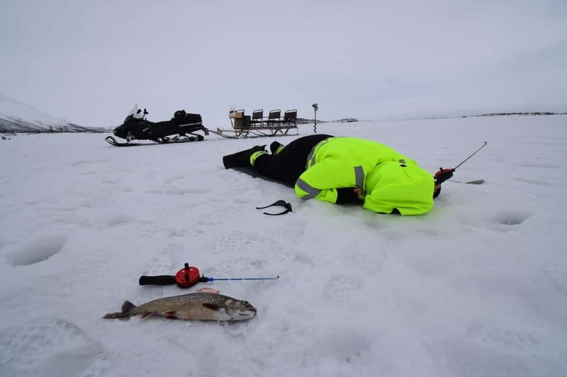 Abisko: Ice Fishing Experience - The Itinerary in Detail