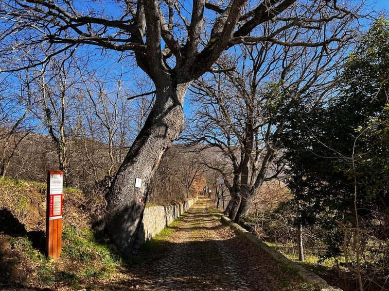 Abruzzo: Incredible e-bike adventures admiring the 4 medieval towers - Why This E-bike Tour Stands Out