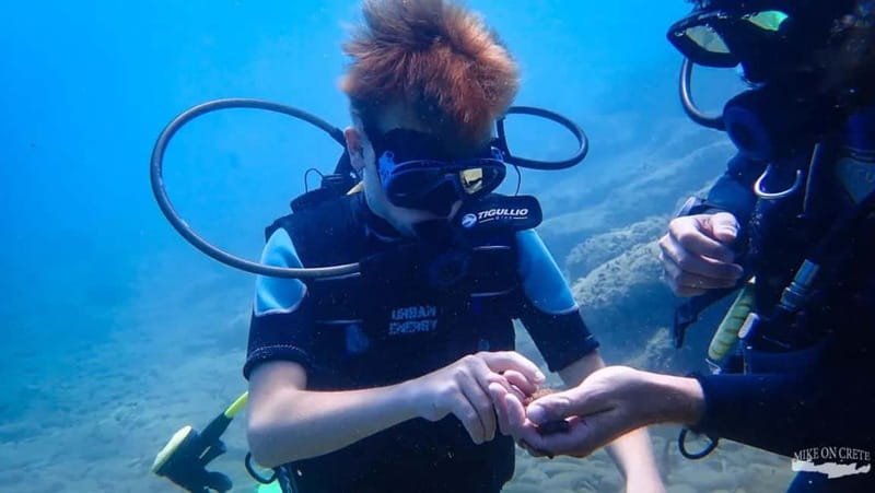 Agia Pelagia: Scuba Diving Activity for Children - Detailed Breakdown of the Itinerary