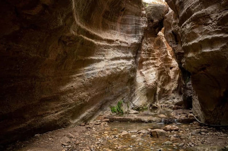 Akamas Jeep Safari Tour from Paphos - Practical Details and Tips
