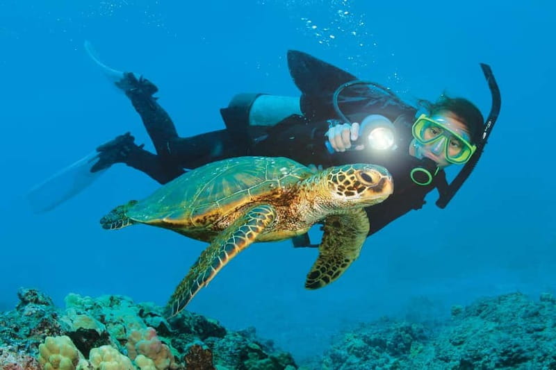 Alanya: Scuba Diving Adventure for Beginners & Professionals - The Navigation and Logistics