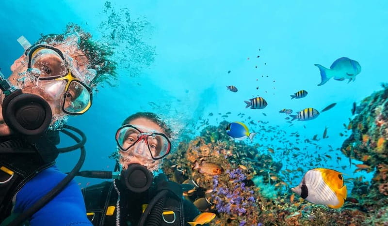 Alanya: Scuba Diving Tour Incl. Lunch with Hotel Transfer - Deep Dive into the Details: Is It Worth the Price?