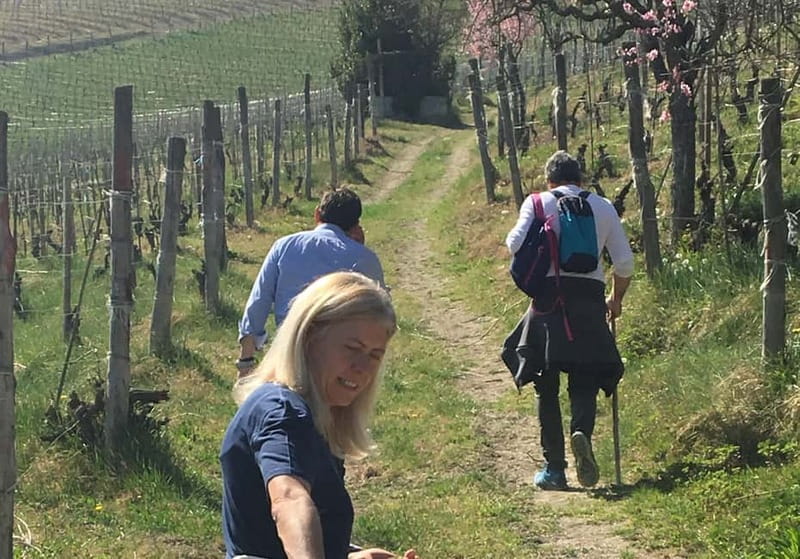 Alba: Wine Tasting and Tour with a Local Producer - What Sets This Tour Apart