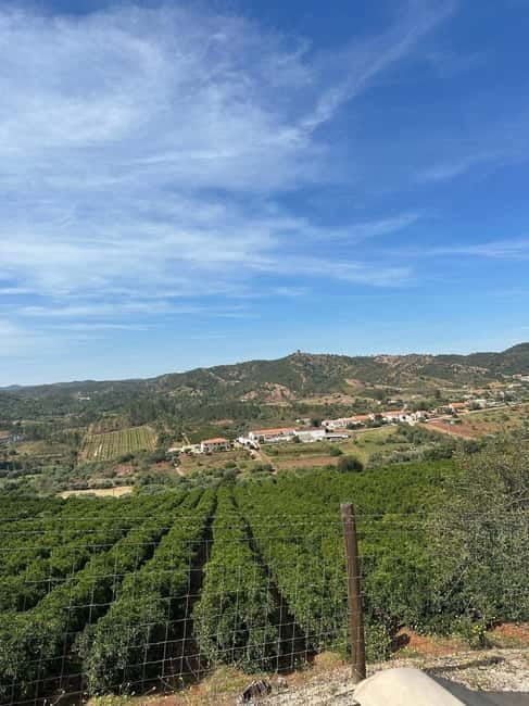 Albufeira: Alte, Paderne, and Messines Jeep Safari Tour - The Sum Up