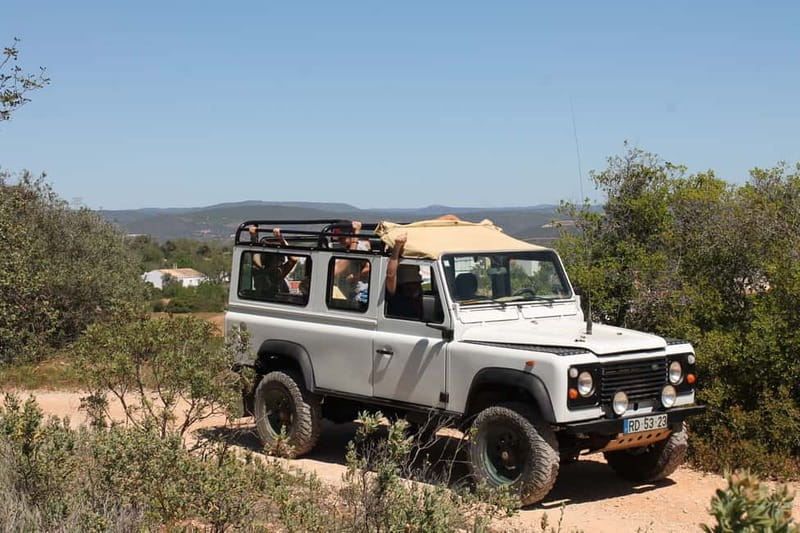 Albufeira Jeep Safari with Zoo - Final Thoughts: Is It Worth It?