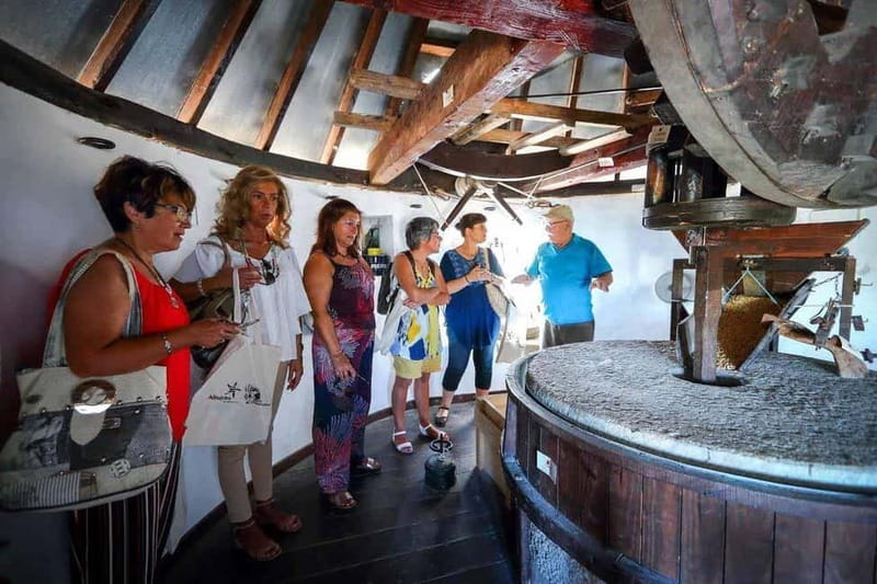 Albufeira: Wine Tasting Tour with Castle and Windmill Visit - What Travelers Are Saying