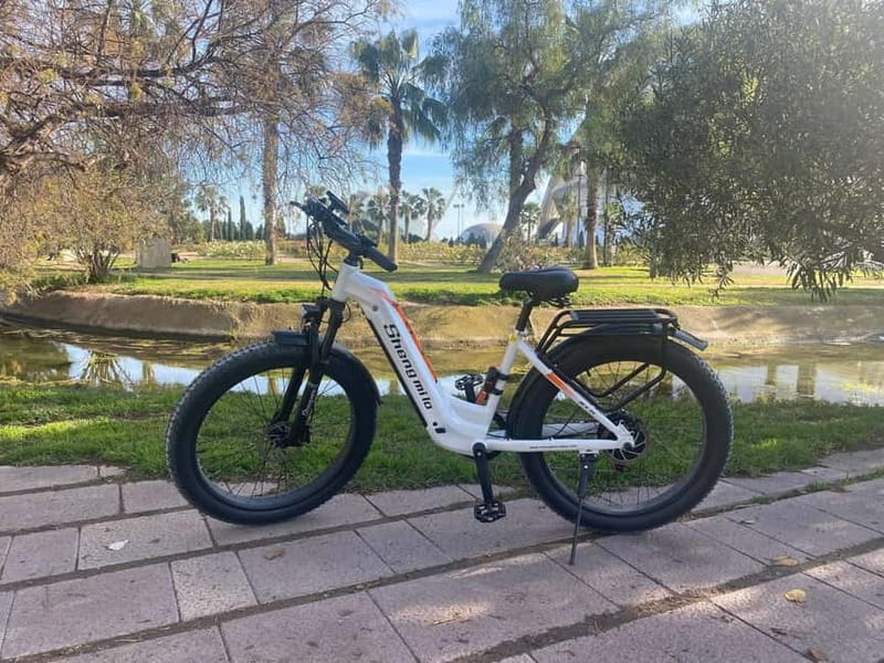 Albufera Bike Adventure: Wetlands, Beaches & Biodiversity - Pricing and Value  