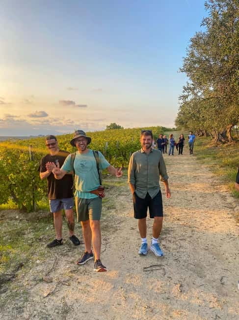 Alcamo: Natural Wine & Olive Oil Tasting - Sicily - Why This Tour Is Worth Considering