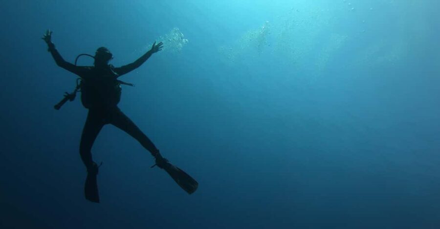 Alghero: Diving - What’s Included and How It Works