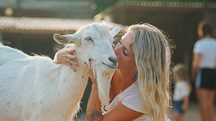 Alghero: visit an animal shelter with lunch or dinner - What to Expect During the Visit