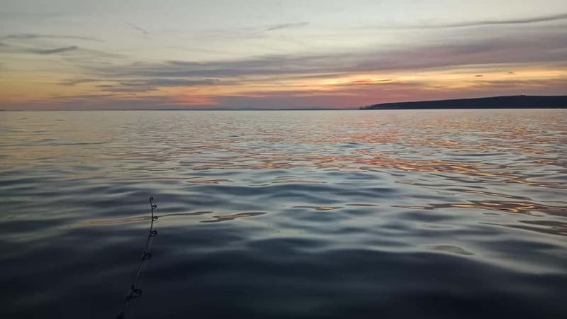 Alicante 5-Hour Fishing Excursion with Pro Fishing Guide - The Itinerary: What to Expect