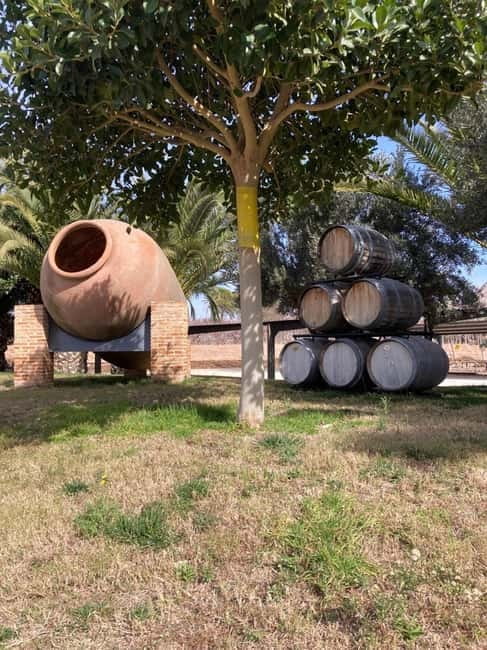 Alicante: Wine tasting tour with transfer - Itinerary Breakdown