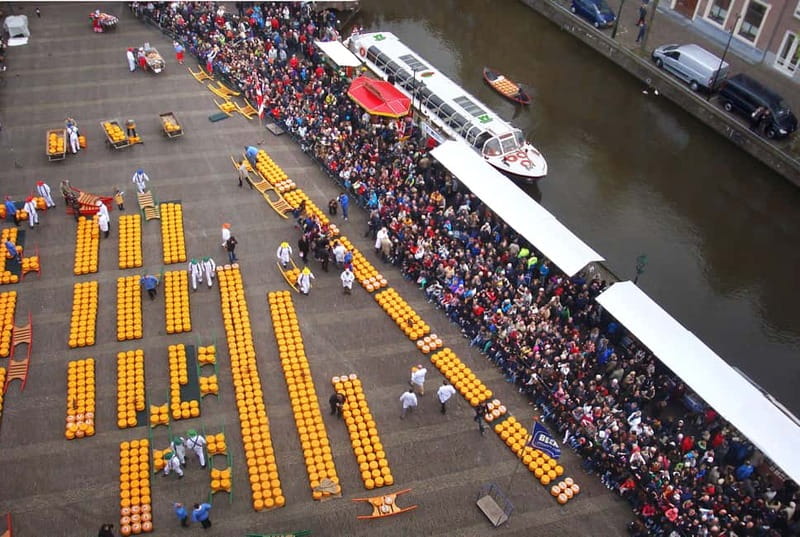Alkmaar: Cruise from the Cheese Market - Who Should Consider This Tour?