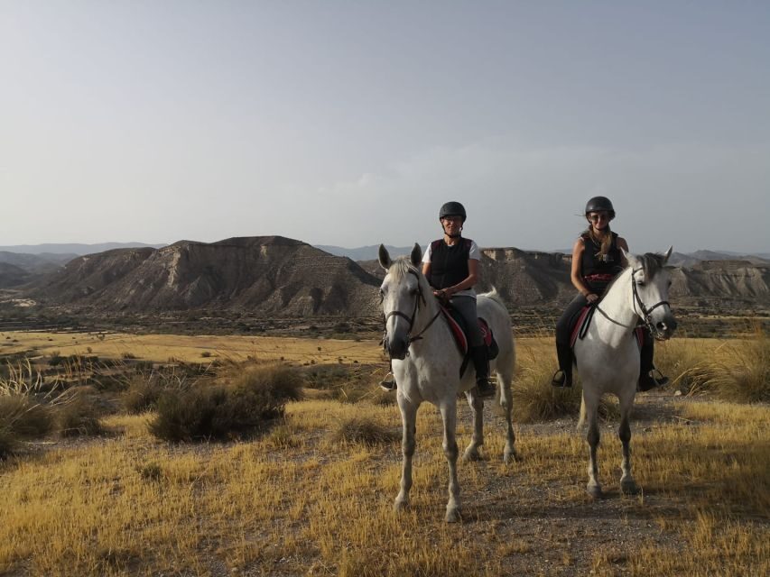 Almeria: Horse Riding Tour Through the Tabernas Desert - Why This Tour is a Must-Do for Certain Travelers