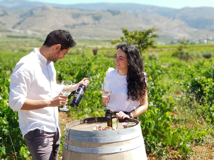 Almería: Wine tour and aperitif from La Alpujarra in Winery - The Guided Farm Tour