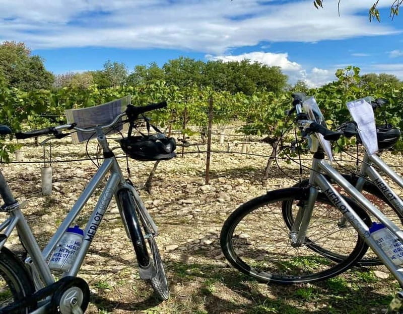 Alpilles: Discover vineyards and farms by electric bike - Why This Tour Is Worth Considering
