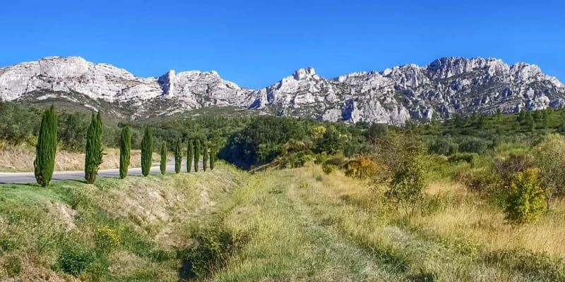 Alpilles: Discover wine estates and farms by electric bike - Who Will Love This Tour?