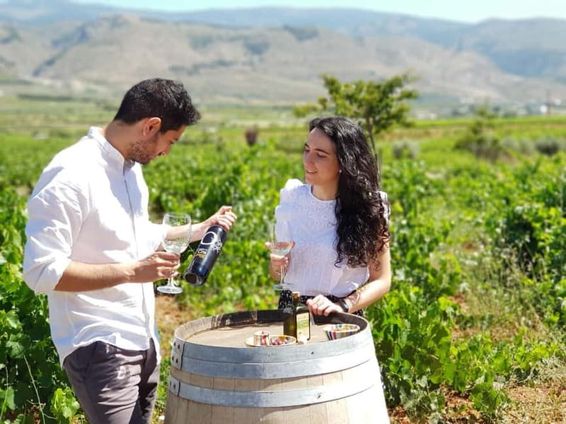 Alpujarra of Almería: Organic Wine tour and local aperitif - Practical Considerations