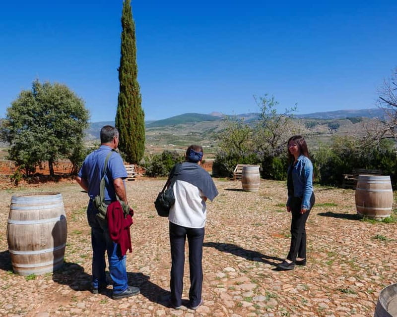Alpujarra of Almería: Organic Wine tour and vegan aperitif - Unpacking the Experience: What’s Included and How It Works