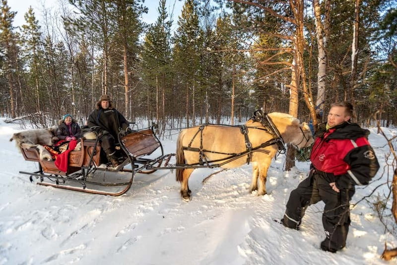 Alta: Sleigh or wagon Ride in the Arctic Countryside - Transportation and Logistics