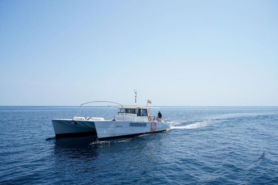 Altea: Motor Catamaran Boat Tour with Sunset Option - FAQ