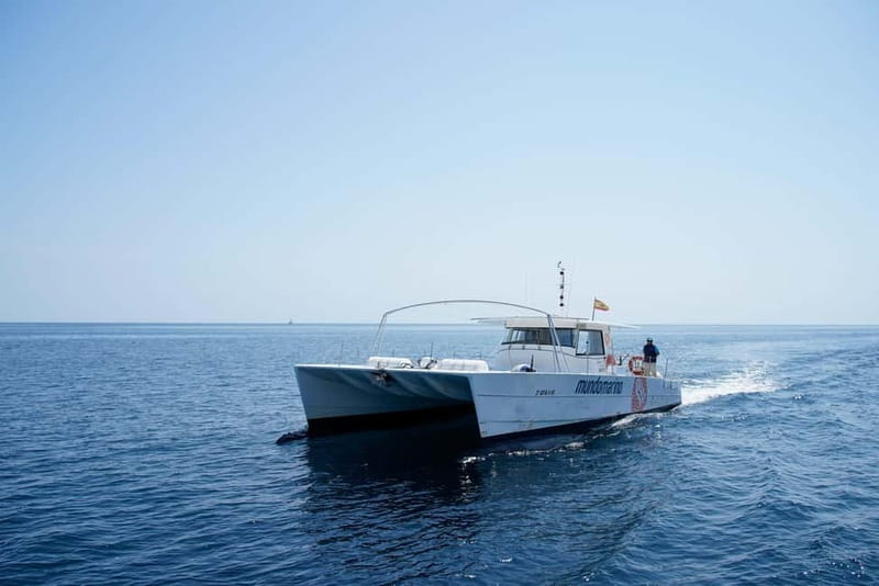 Altea: Motor Catamaran Excursion with swimming stop - Who Should Consider This Tour?
