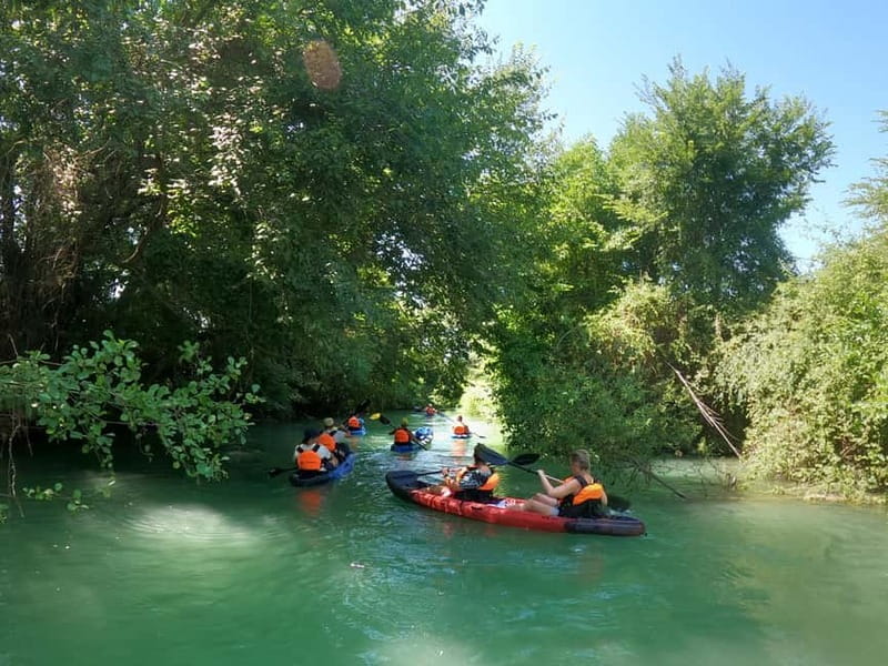 Ammoudia: Kayak down the Acheron 5.5 km - Detailed Review of the Acheron Kayaking Experience