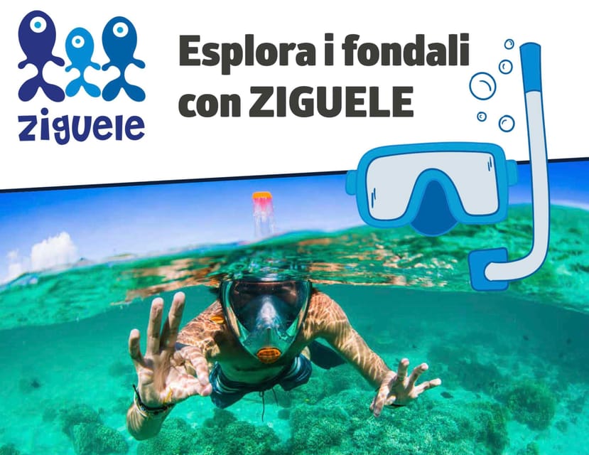 AMP Portofino: Naturalistic Snorkeling - Who Will Love This Tour?  