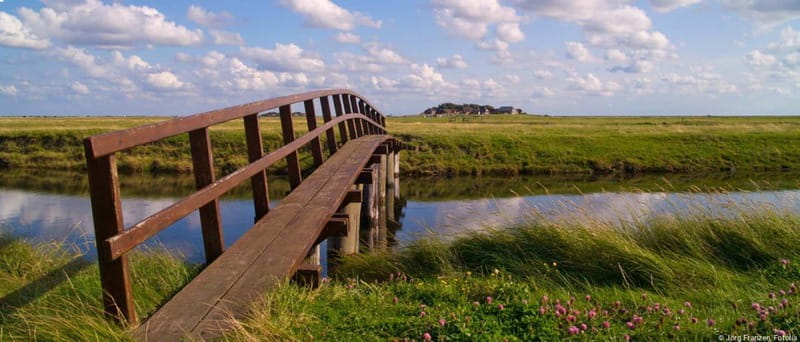 Amrum: Day trip by boat to Hallig Hooge - The Cultural and Natural Highlights