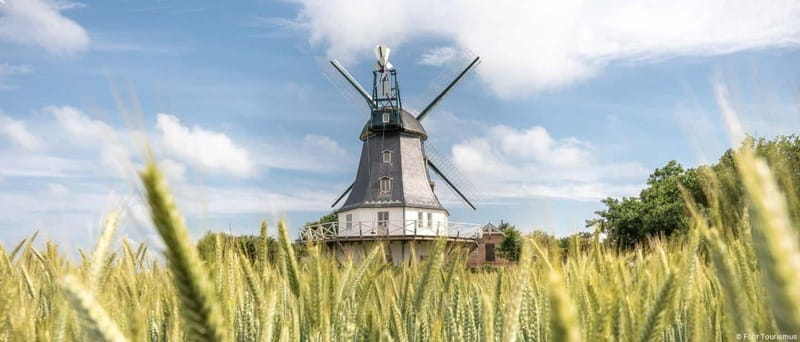 Amrum: Daytrip by boat to Föhr - Introduction: A Taste of Frisian Islands Without the Fuss
