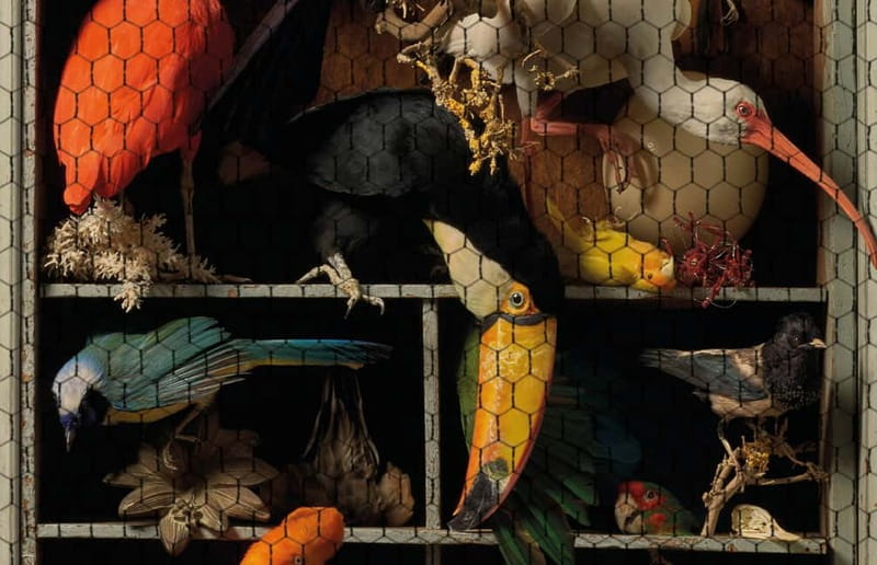 Amsterdam: Art Zoo Museum Entry Ticket & Audio Tour - What’s Inside: Exhibits That Spark Imagination