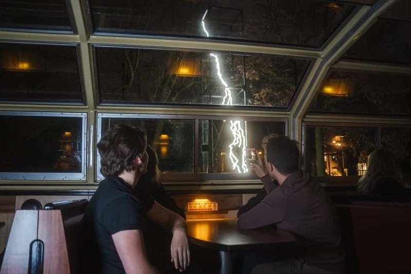 Amsterdam: Cozy Light Festival Cruise with Hot Chocolate - Who Will Love This Tour?