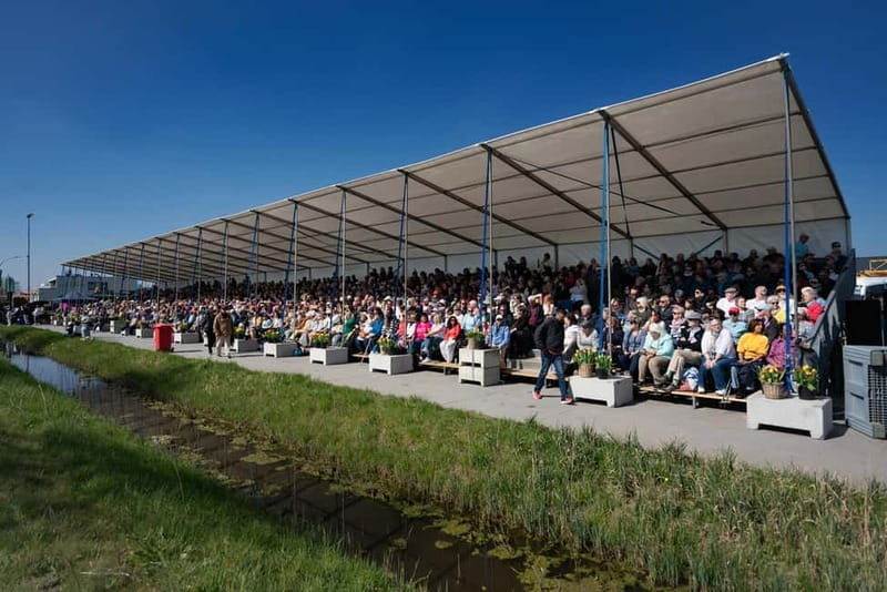 Amsterdam: Day Trip to Flower Parade & Keukenhof on April 18 - The Value of the Experience