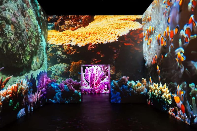 Amsterdam: Fabrique des Lumières The Sea Entry Ticket - The Overall Value & Who Should Visit
