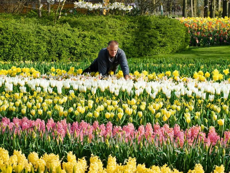 Amsterdam: Keukenhof Entry & Shuttlebus with Flexible Return - The Itinerary Breakdown  